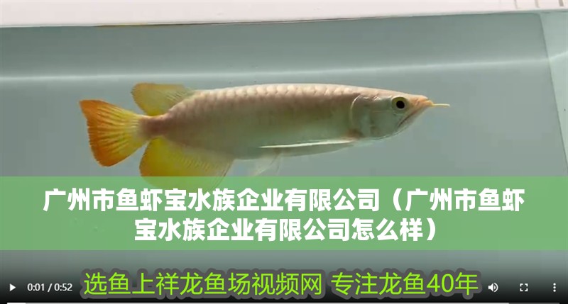 廣州市魚蝦寶水族企業有限公司（廣州市魚蝦寶水族企業有限公司怎么樣） 廣州市魚蝦寶水族企業有限公司（廣州市魚蝦寶水族企業有限公司怎么樣） 全國水族館企業名錄 第2張