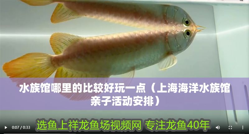 水族館哪里的比較好玩一點(diǎn)（上海海洋水族館親子活動(dòng)安排）