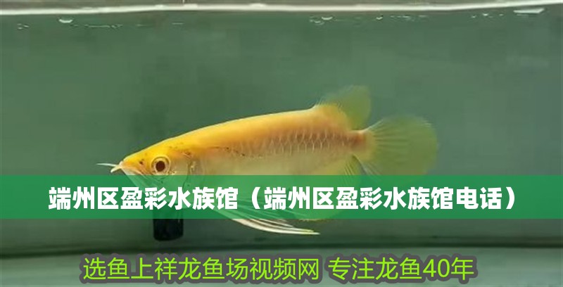 端州區盈彩水族館（端州區盈彩水族館電話） 端州區盈彩水族館（端州區盈彩水族館電話） 全國水族館企業名錄 第2張