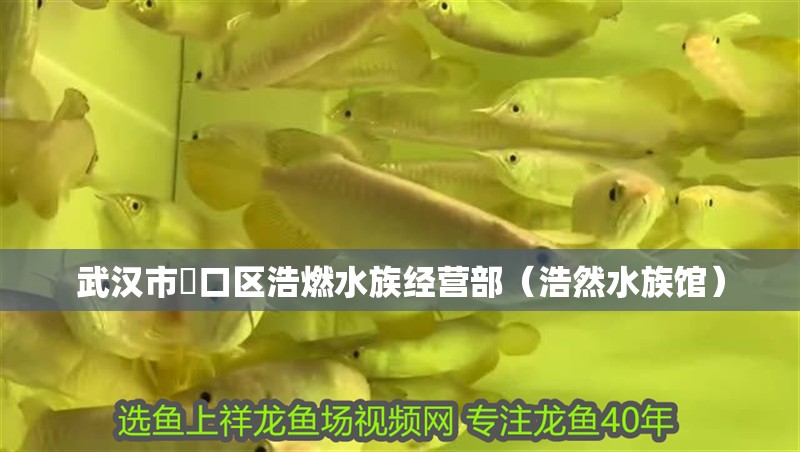 武漢市硚口區(qū)浩燃水族經(jīng)營部（浩然水族館）