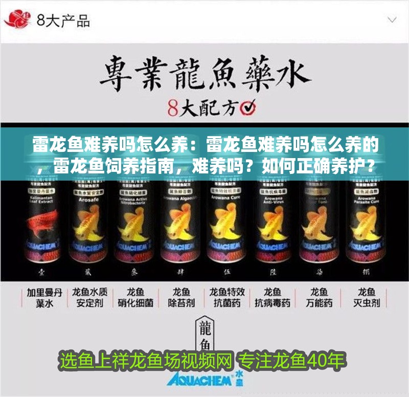 雷龍魚難養嗎怎么養：雷龍魚難養嗎怎么養的，雷龍魚飼養指南，難養嗎？如何正確養護？