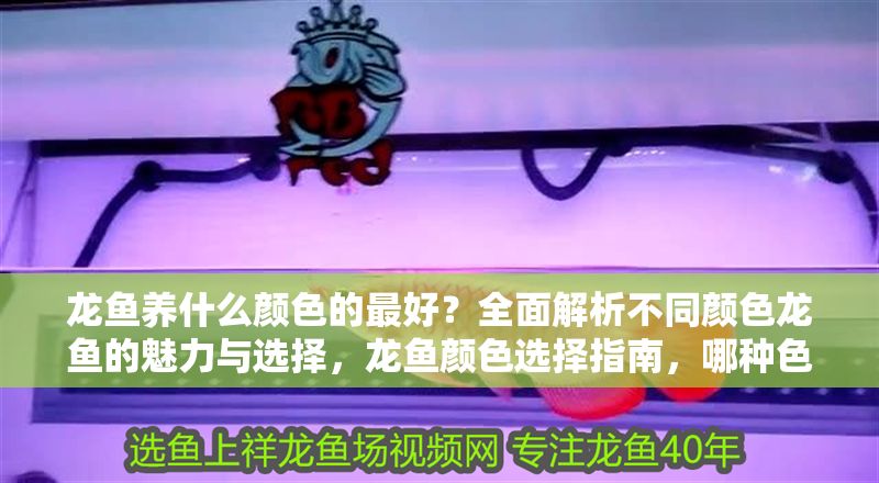 龍魚養什么顏色的最好？全面解析不同顏色龍魚的魅力與選擇，龍魚顏色選擇指南，哪種色彩最具魅力與價值？