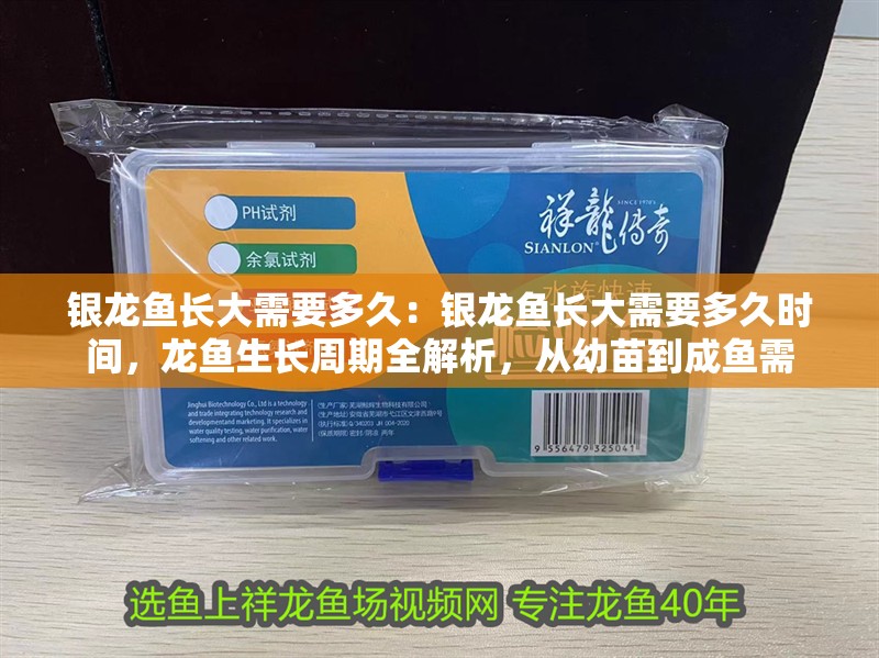銀龍魚(yú)長(zhǎng)大需要多久：銀龍魚(yú)長(zhǎng)大需要多久時(shí)間，龍魚(yú)生長(zhǎng)周期全解析，從幼苗到成魚(yú)需