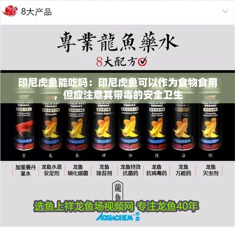 印尼虎魚能吃嗎：印尼虎魚可以作為食物食用，但應注意其帶毒的安全衛(wèi)生