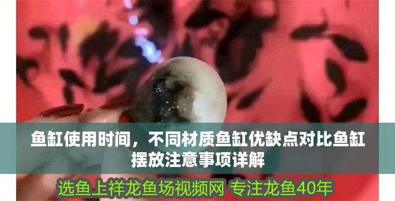 魚缸使用時間，不同材質魚缸優缺點對比魚缸擺放注意事項詳解