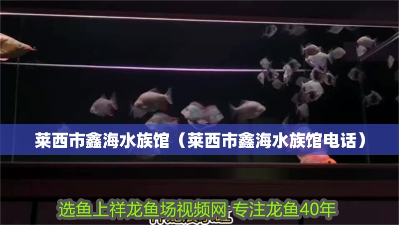 萊西市鑫海水族館（萊西市鑫海水族館電話）