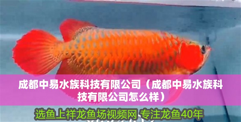 成都中易水族科技有限公司（成都中易水族科技有限公司怎么樣） 成都中易水族科技有限公司（成都中易水族科技有限公司怎么樣） 全國(guó)水族館企業(yè)名錄 第2張
