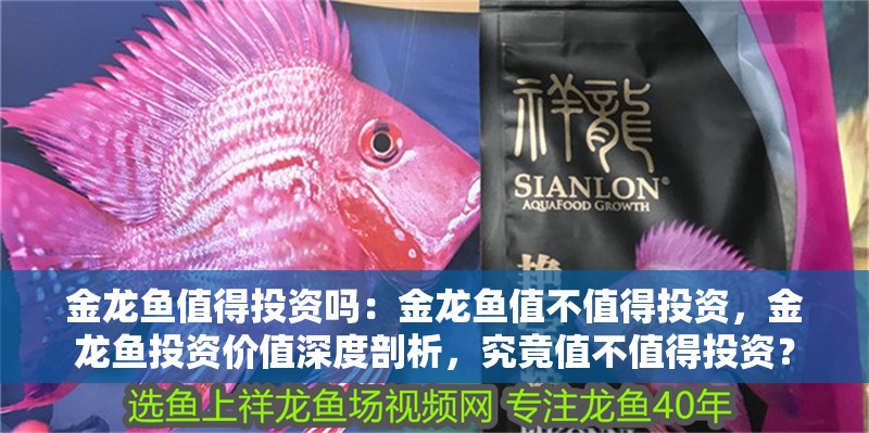 金龍魚值得投資嗎：金龍魚值不值得投資，金龍魚投資價值深度剖析，究竟值不值得投資？