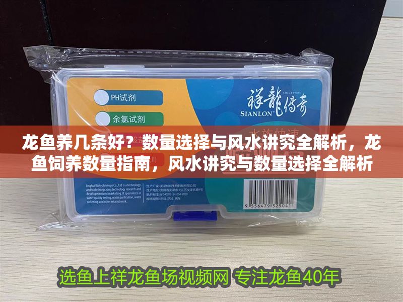 龍魚養幾條好？數量選擇與風水講究全解析，龍魚飼養數量指南，風水講究與數量選擇全解析