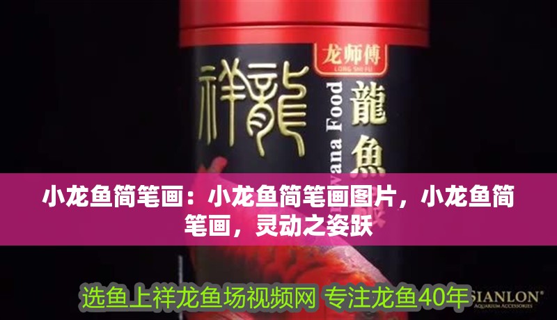小龍魚簡筆畫：小龍魚簡筆畫圖片，小龍魚簡筆畫，靈動之姿躍