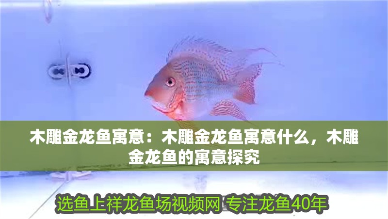 木雕金龍魚寓意：木雕金龍魚寓意什么，木雕金龍魚的寓意探究