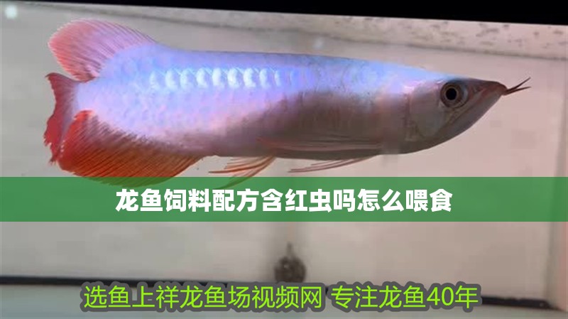 龍魚飼料配方含紅蟲嗎怎么喂食