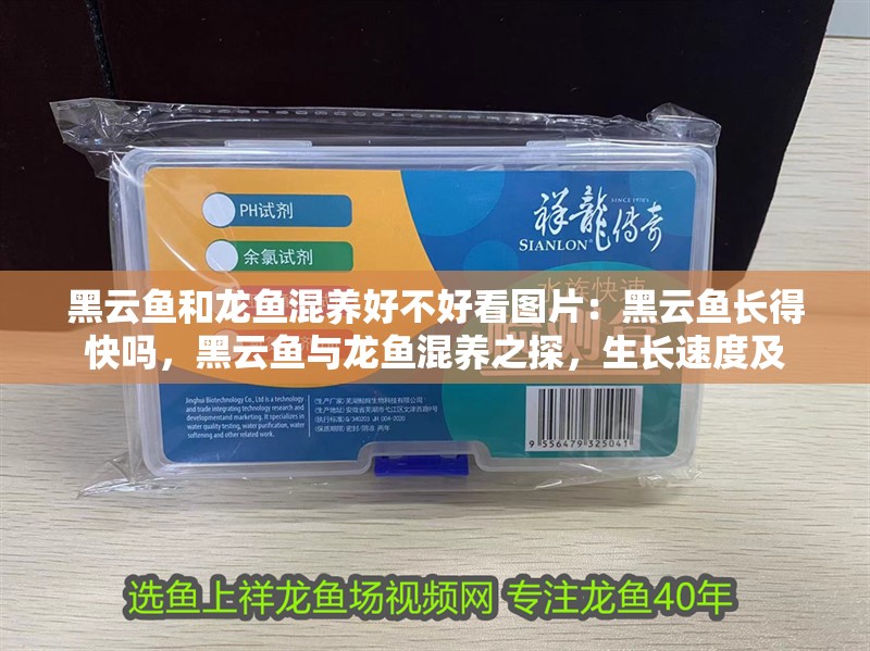黑云魚和龍魚混養好不好看圖片：黑云魚長得快嗎，黑云魚與龍魚混養之探，生長速度及