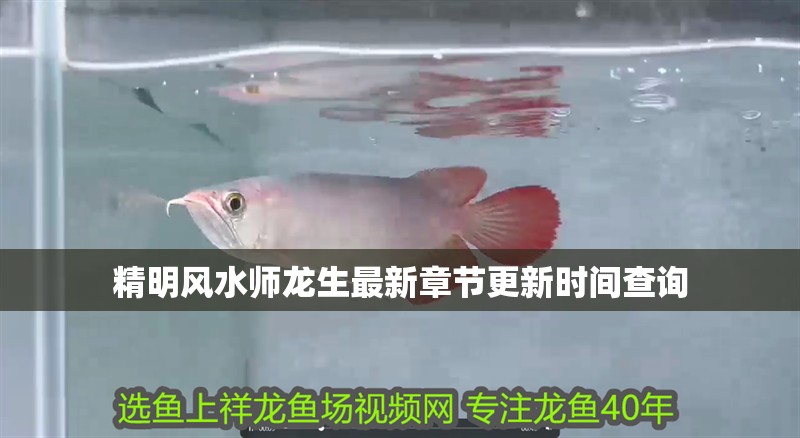 精明風(fēng)水師龍生最新章節(jié)更新時(shí)間查詢