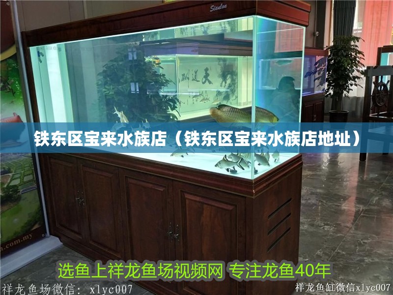 鐵東區(qū)寶來水族店（鐵東區(qū)寶來水族店地址） 鐵東區(qū)寶來水族店（鐵東區(qū)寶來水族店地址） 全國水族館企業(yè)名錄 第2張