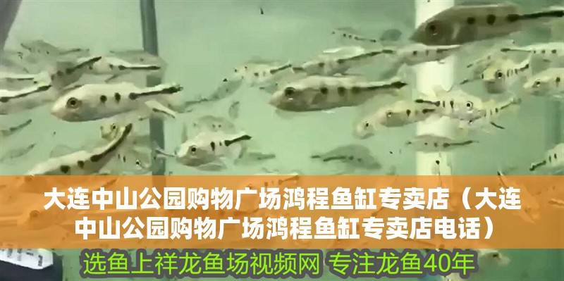 大連中山公園購物廣場鴻程魚缸專賣店（大連中山公園購物廣場鴻程魚缸專賣店電話）