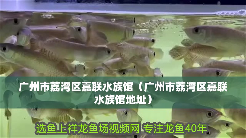 廣州市荔灣區(qū)嘉聯(lián)水族館(廣州市荔灣區(qū)嘉聯(lián)水族館地址) 全國(guó)水族館企業(yè)名錄 第2張 廣州市荔灣區(qū)嘉聯(lián)水族館(廣州市荔灣區(qū)嘉聯(lián)水族館地址) 廣州市荔灣區(qū)嘉聯(lián)水族館(廣州市荔灣區(qū)嘉聯(lián)水族館地址) 全國(guó)水族館企業(yè)名錄 第2張