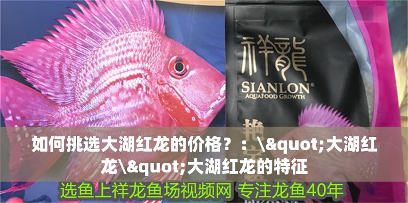 詳細(xì)閱讀:如何挑選大湖紅龍的價(jià)格?:\"大湖紅龍\"大湖紅龍的特征 如何挑選大湖紅龍的價(jià)格?:\"大湖紅龍\"大湖紅龍的特征