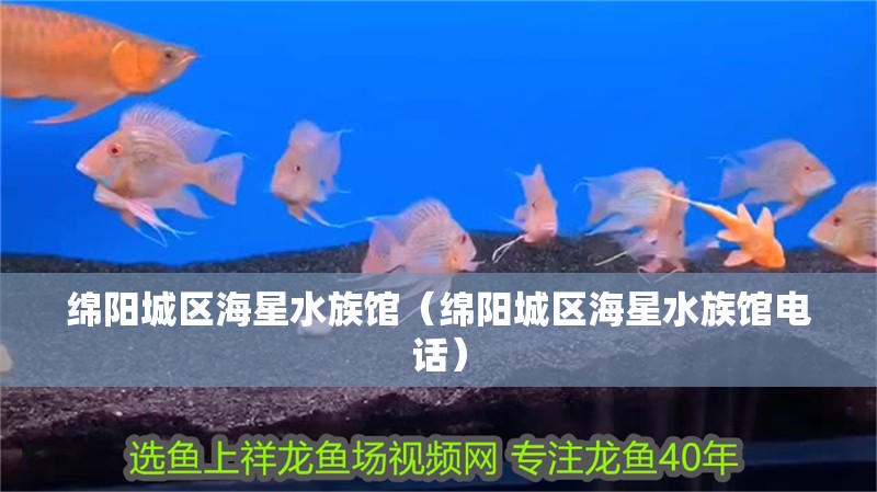 綿陽城區海星水族館（綿陽城區海星水族館電話） 綿陽城區海星水族館（綿陽城區海星水族館電話） 全國水族館企業名錄 第2張