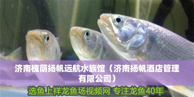 濟南槐蔭揚帆遠航水族館（濟南揚帆酒店管理有限公司）