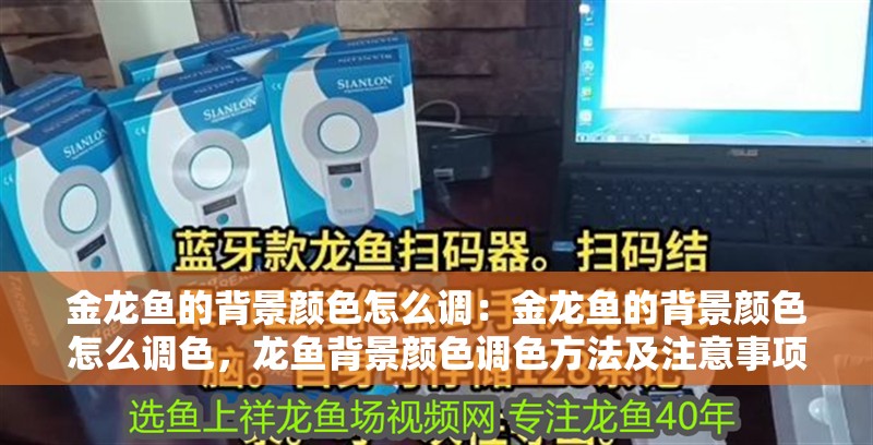 金龍魚的背景顏色怎么調：金龍魚的背景顏色怎么調色，龍魚背景顏色調色方法及注意事項