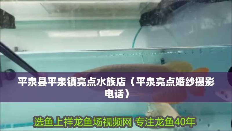 平泉縣平泉鎮亮點水族店（平泉亮點婚紗攝影電話）