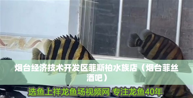 煙臺經濟技術開發區菲斯柏水族店（煙臺菲絲酒吧）