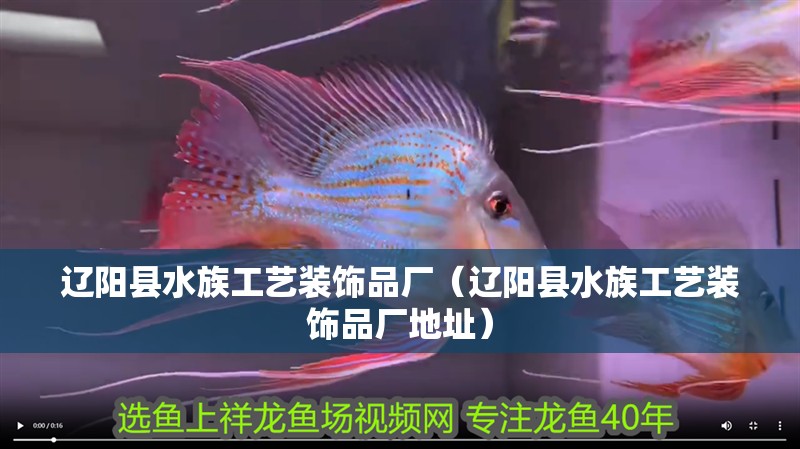 遼陽縣水族工藝裝飾品廠（遼陽縣水族工藝裝飾品廠地址） 遼陽縣水族工藝裝飾品廠（遼陽縣水族工藝裝飾品廠地址） 全國水族館企業名錄 第2張