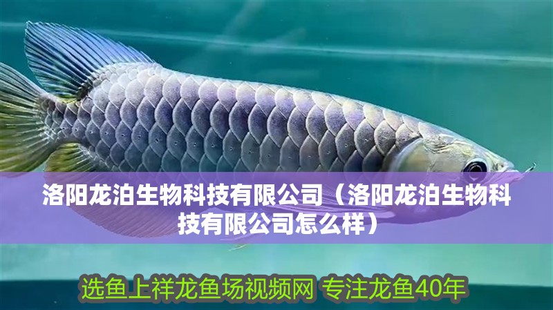 洛陽龍泊生物科技有限公司（洛陽龍泊生物科技有限公司怎么樣） 洛陽龍泊生物科技有限公司（洛陽龍泊生物科技有限公司怎么樣） 全國水族館企業名錄 第2張