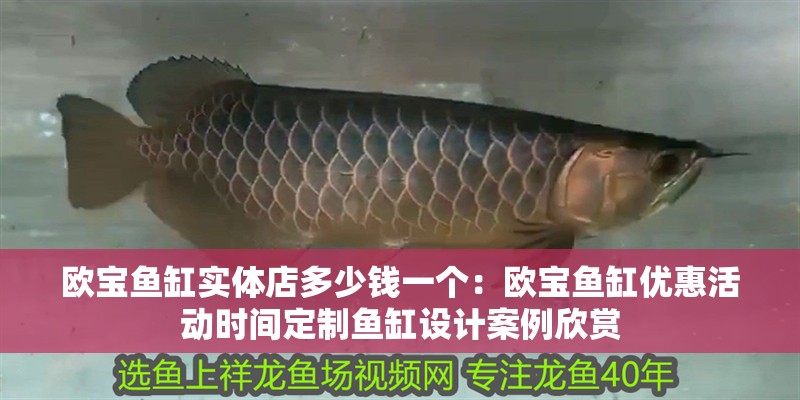 歐寶魚缸實(shí)體店多少錢一個(gè)：歐寶魚缸優(yōu)惠活動(dòng)時(shí)間定制魚缸設(shè)計(jì)案例欣賞