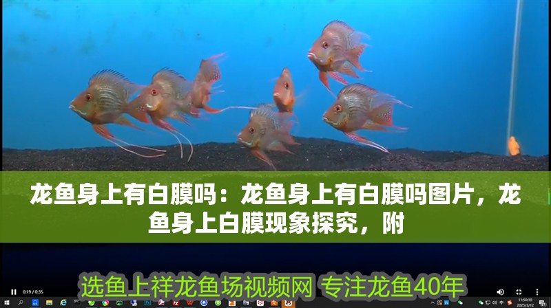 龍魚身上有白膜嗎：龍魚身上有白膜嗎圖片，龍魚身上白膜現象探究，附