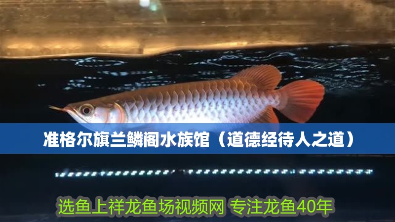 準格爾旗蘭鱗閣水族館（道德經待人之道） 準格爾旗蘭鱗閣水族館（道德經待人之道） 全國水族館企業名錄 第2張