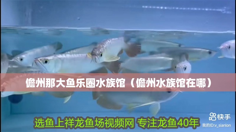 儋州那大魚樂(lè)圈水族館（儋州水族館在哪）