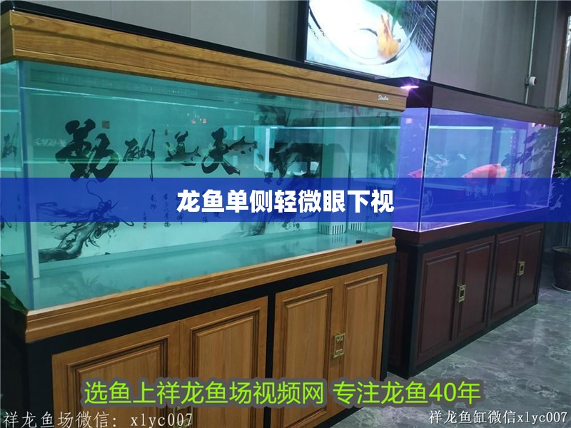 龍魚單側輕微眼下視