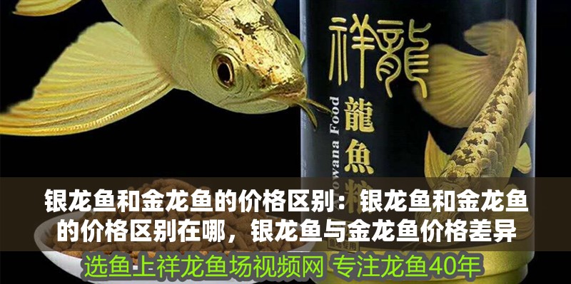 銀龍魚和金龍魚的價格區別：銀龍魚和金龍魚的價格區別在哪，銀龍魚與金龍魚價格差異 銀龍魚和金龍魚的價格區別：銀龍魚和金龍魚的價格區別在哪，銀龍魚與金龍魚價格差異 水族問答