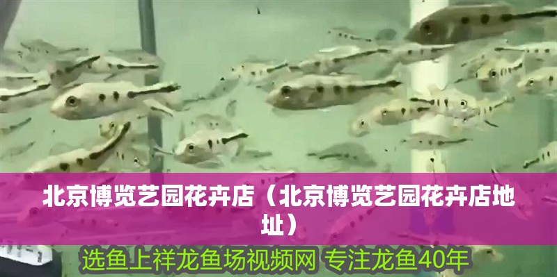 <strong><mark>北京</mark></strong>博覽藝園花卉店（<strong><mark>北京</mark></strong>博覽藝園花卉店地址）