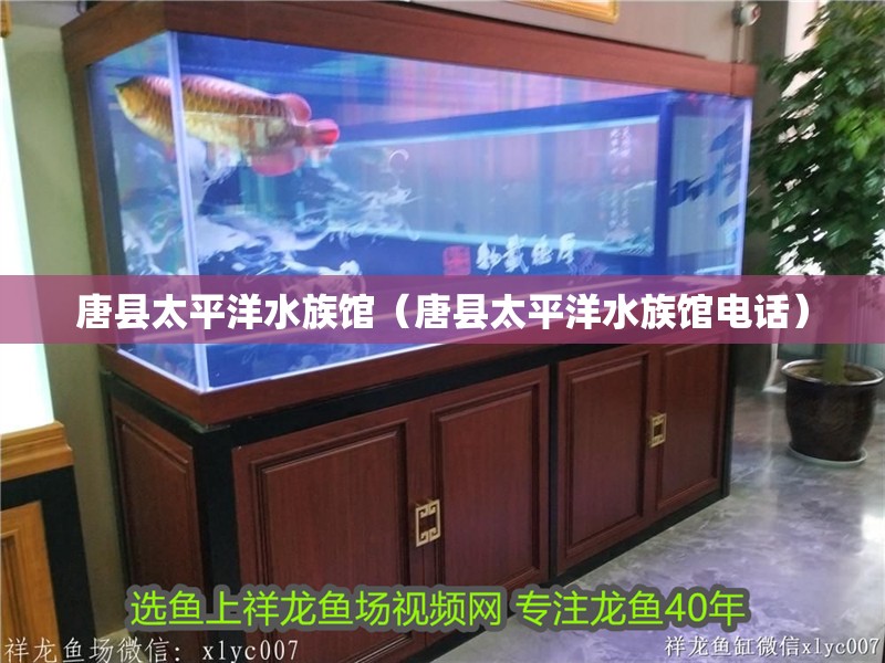 唐縣太平洋水族館（唐縣太平洋水族館電話） 唐縣太平洋水族館（唐縣太平洋水族館電話） 全國水族館企業名錄 第2張