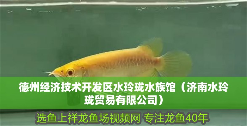 德州經濟技術開發區水玲瓏水族館（濟南水玲瓏貿易有限公司）