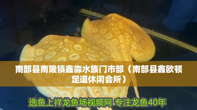 南部縣南隆鎮鑫淼水族門市部（南部縣鑫歐頓足道休閑會所）