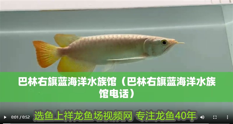 巴林右旗藍(lán)海洋水族館（巴林右旗藍(lán)海洋水族館電話）