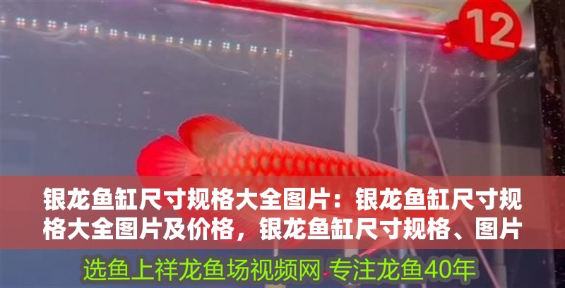 銀龍魚缸尺寸規格大全圖片：銀龍魚缸尺寸規格大全圖片及價格，銀龍魚缸尺寸規格、圖片及價格