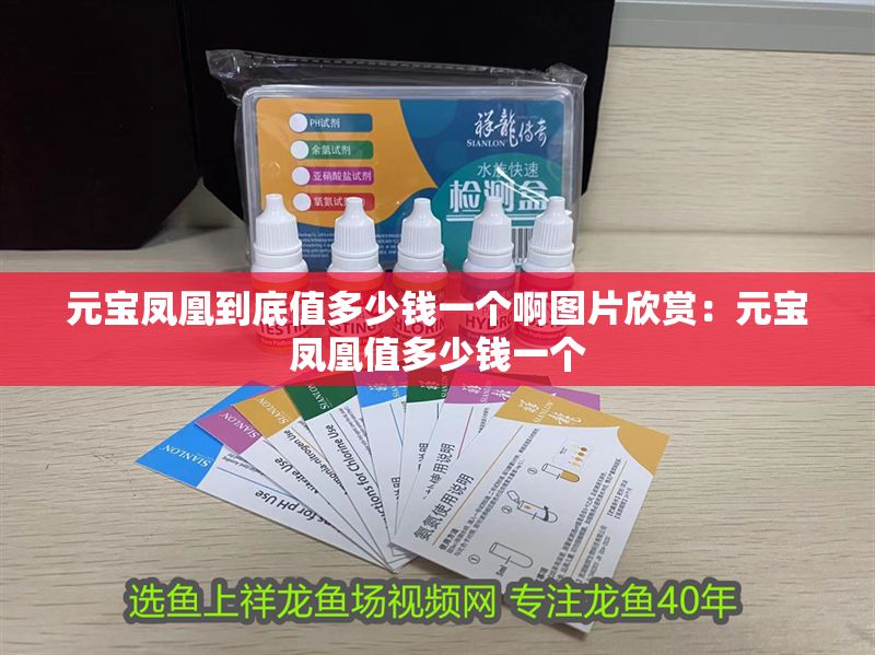 元寶鳳凰到底值多少錢一個啊圖片欣賞：元寶鳳凰值多少錢一個