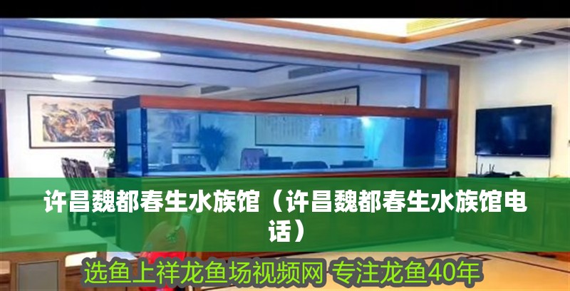 許昌魏都春生水族館（許昌魏都春生水族館電話）