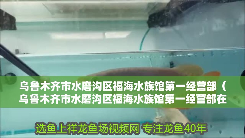 烏魯木齊市水磨溝區福海水族館第一經營部（烏魯木齊市水磨溝區福海水族館第一經營部在哪里）