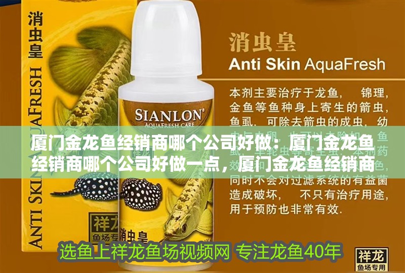 廈門金龍魚經銷商哪個公司好做：廈門金龍魚經銷商哪個公司好做一點，廈門金龍魚經銷商哪家公司更具優勢