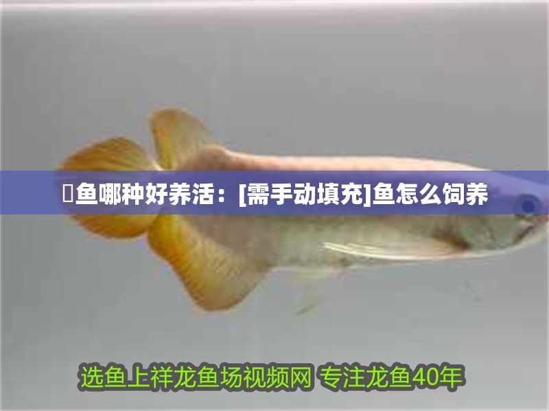 魟魚(yú)哪種好養(yǎng)活：[需手動(dòng)填充]魚(yú)怎么飼養(yǎng)