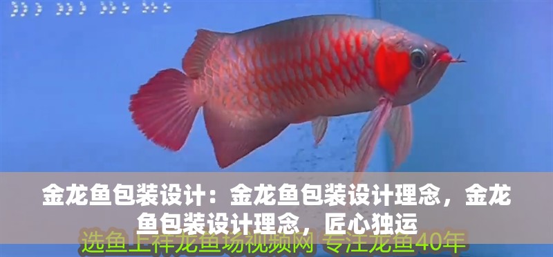 金龍魚包裝設計：金龍魚包裝設計理念，金龍魚包裝設計理念，匠心獨運