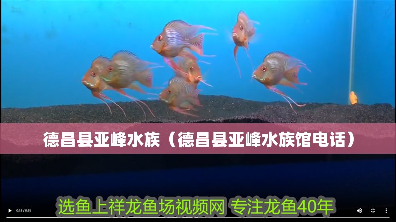 德昌縣亞峰水族(德昌縣亞峰水族館電話) 全國水族館企業名錄 第2張 德昌縣亞峰水族(德昌縣亞峰水族館電話) 德昌縣亞峰水族(德昌縣亞峰水族館電話) 全國水族館企業名錄 第2張