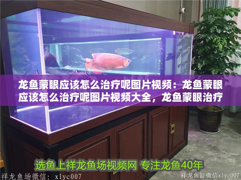 龍魚蒙眼應該怎么治療呢圖片視頻：龍魚蒙眼應該怎么治療呢圖片視頻大全，龍魚蒙眼治療全攻略，圖片