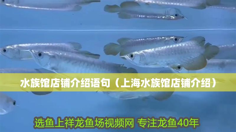 水族館店鋪介紹語句（上海水族館店鋪介紹）